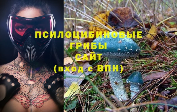 таблы Алексин