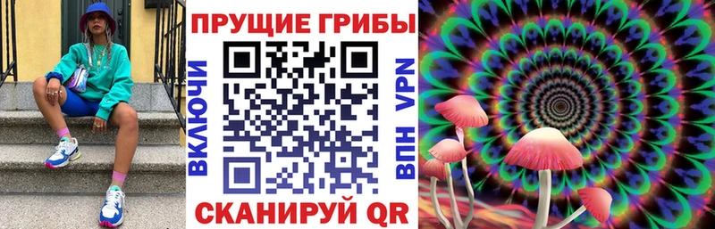 как найти   Козловка  Галлюциногенные грибы Cubensis 